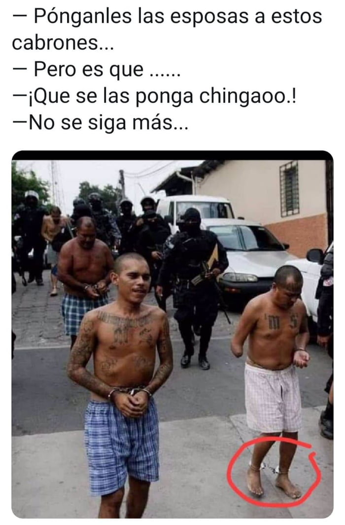 Chico Malo Chico Malo Que Vas A Hacer Cuando Vengan Por Ti 9GAG