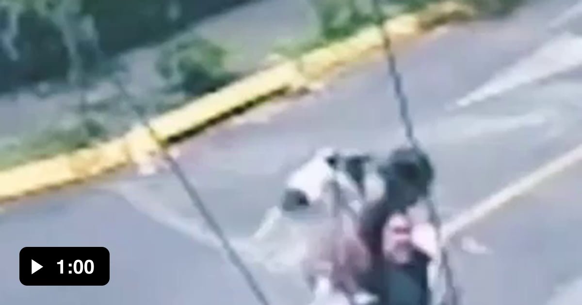 Pitbull being a jerk, put to sleep via rear naked choke 9GAG