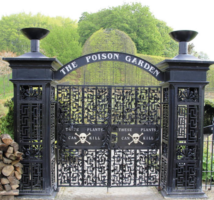 The Alnwick Poison Garden Is A Garden In England Dedicated To The ...