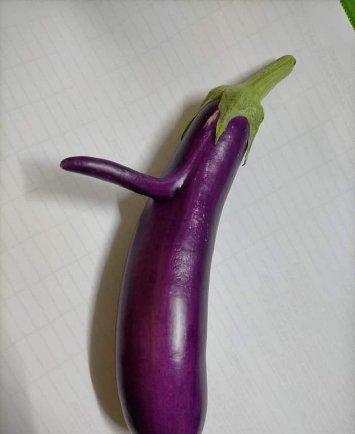 Eggplant Insertion