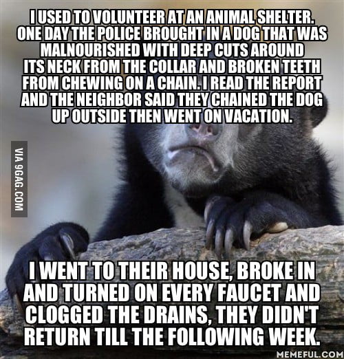 The vet at the shelter told me he wasn't going to make it. - 9GAG