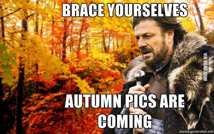 Autumn pics are coming... - 9GAG