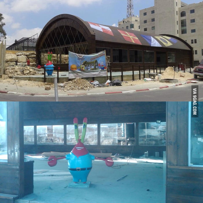 Krusty krab opening soon in Ramallah Palestine. Can't wait. 9GAG