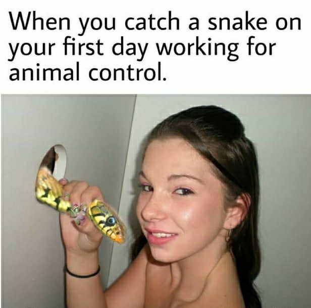 nnn