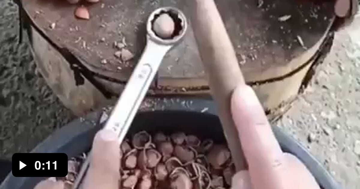 Busting some nuts 9GAG