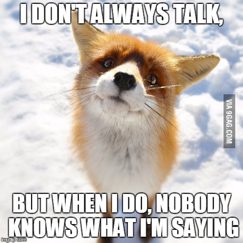 What does the fox say? - 9GAG