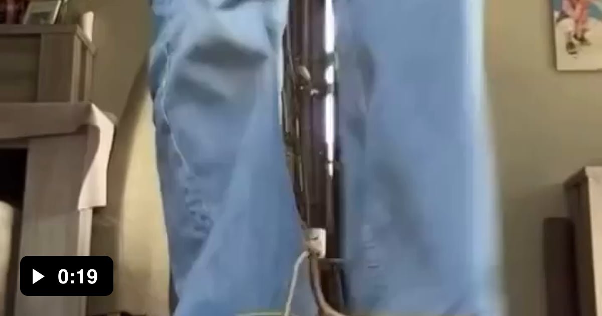 This dancing bug :) - 9GAG