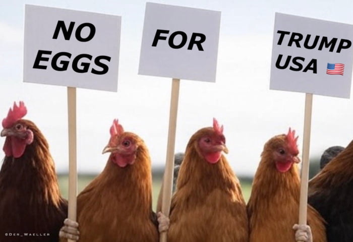 💪💪 eggs - 9GAG