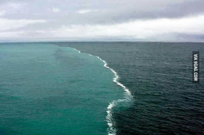 Where two oceans meet but do not mix - 9GAG