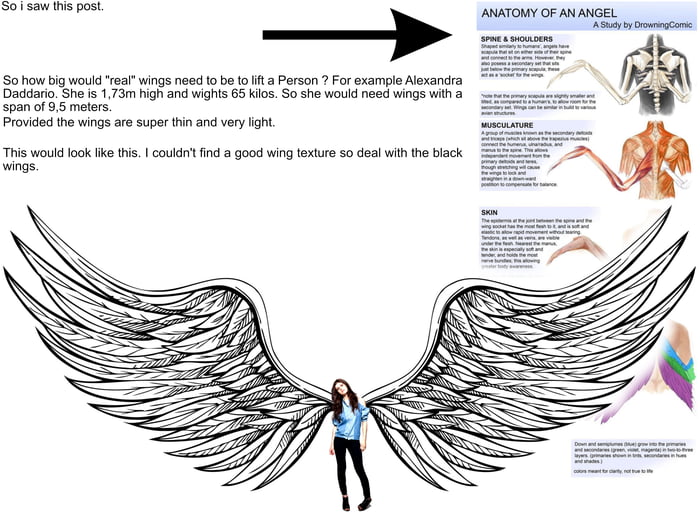 real wings