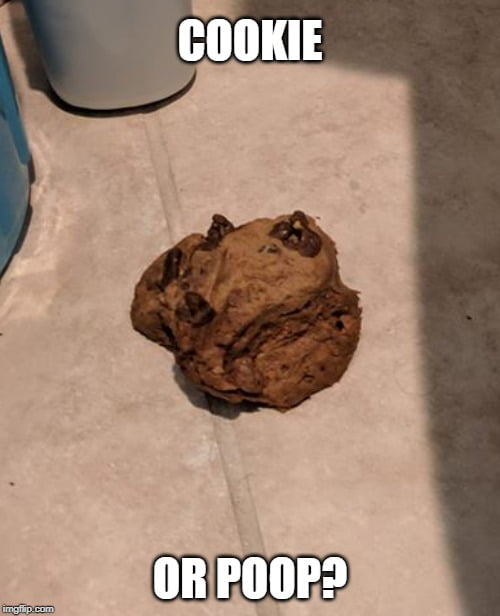 Chocolate chip cookie or poop? 9GAG
