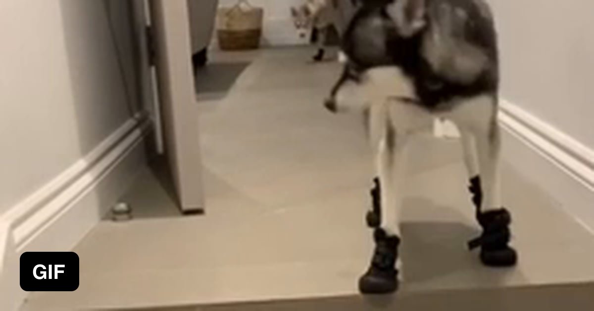 These boots were made for walking.. 9GAG