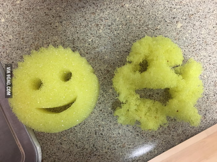 scrub daddy scrub paste