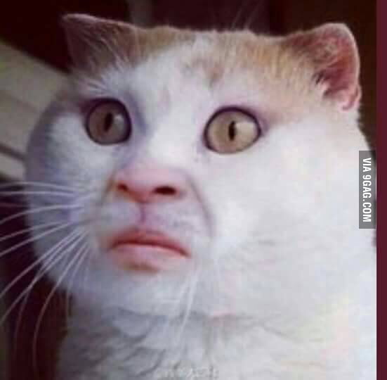 When you see some s**t you didn't want to see. - 9GAG