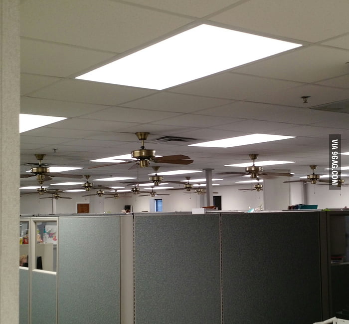 This office has a lot of ceiling fans - 9GAG