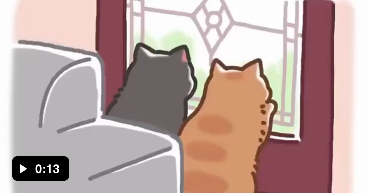 Happy cat is happy - 9GAG