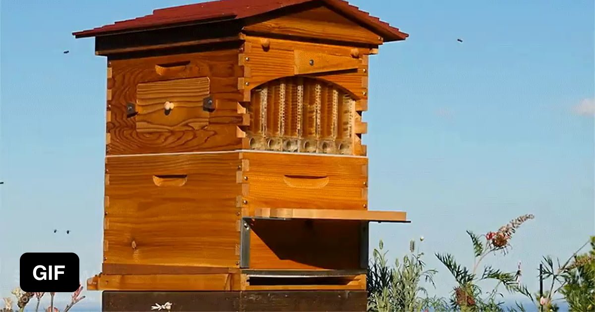 Tazorkis Beehive