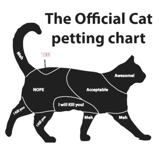 Official Cat Petting Chart - 9GAG