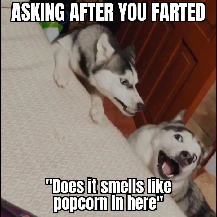 Bamboozled yet again 9GAG