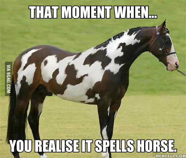 That's one hell of a coincidence - 9GAG