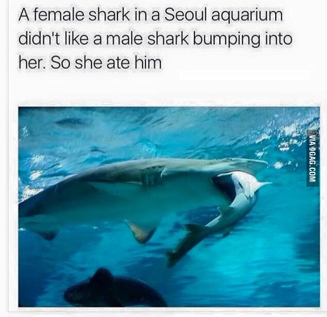Bump into. Bump into
