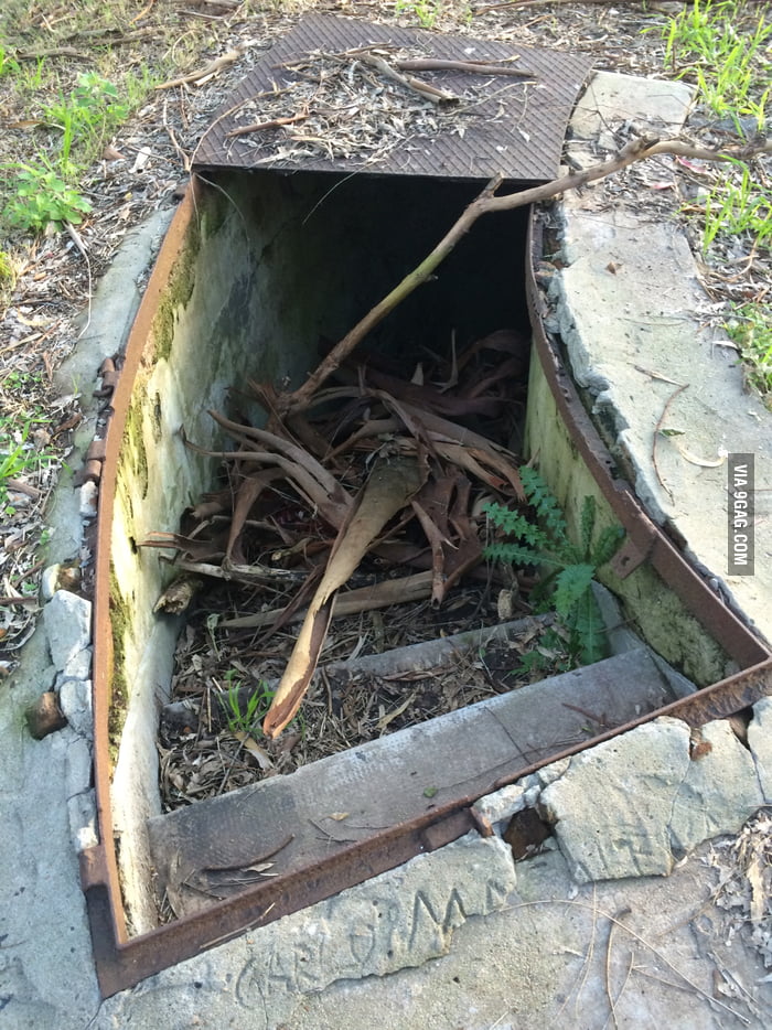 Found These Stairs In The Middle Of The Woods Im Too Scared To Go In 9gag