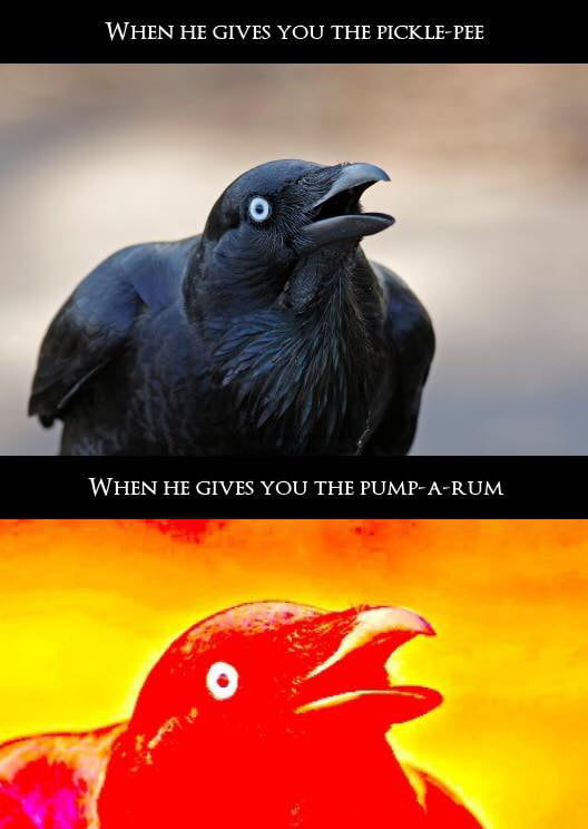 Crow Meme 9gag