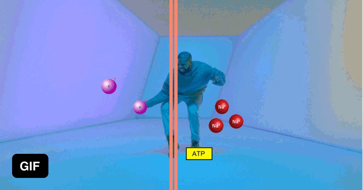 So this is how the Na+/K+ pump works. 9GAG