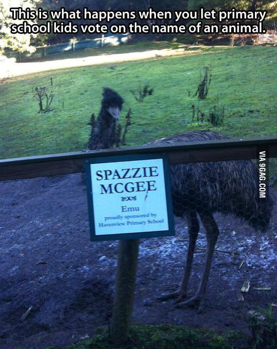 When you let kids name an animal... - 9GAG