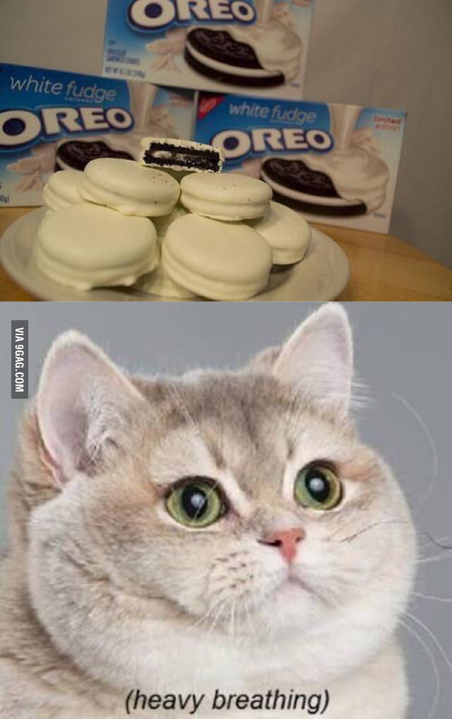 Oreos with white fudge 9GAG