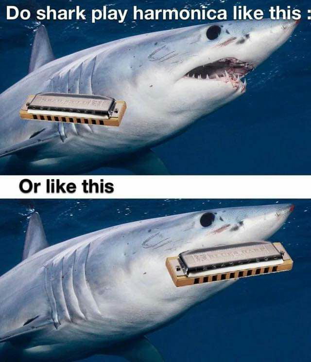 Serious Question 9GAG Serious question 9gag