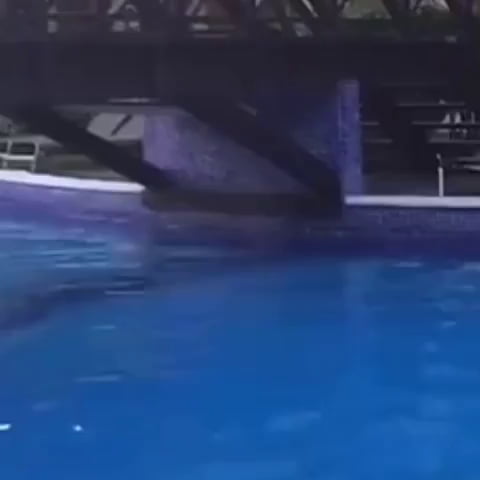 More like flaminstop