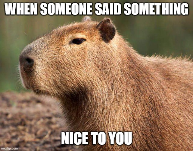 Suspicious Capybara - 9GAG