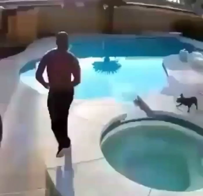 Don’t assume all dogs can swim! This man’s quick reaction probably saved his dog’s life.