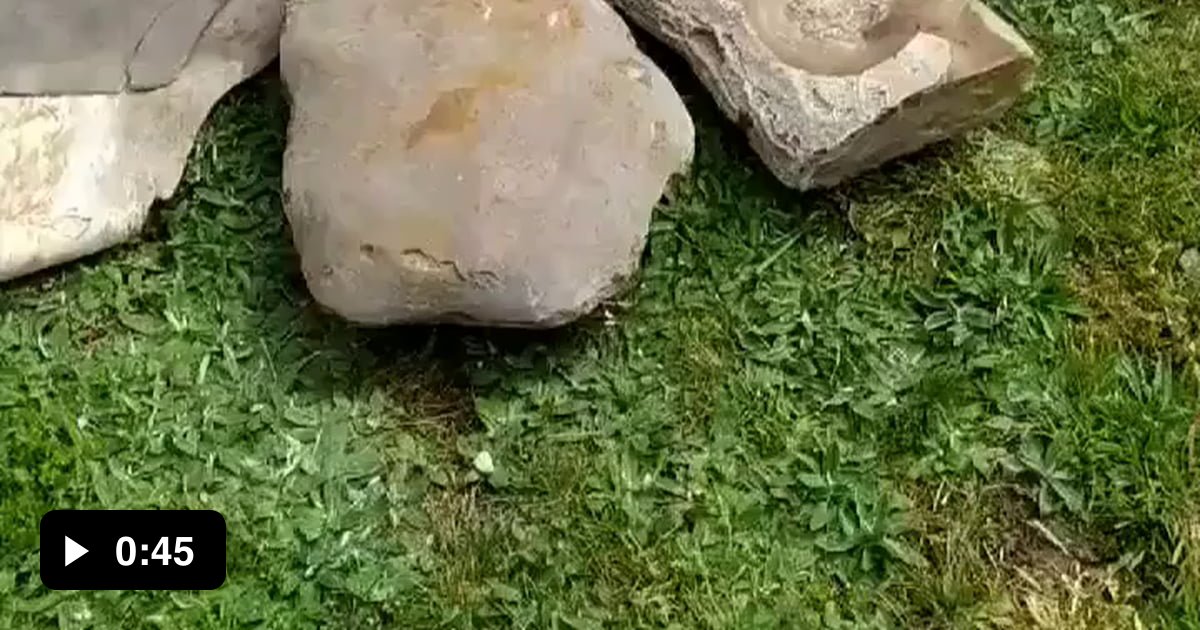 Archaeologist Dr. JeanLoup Ringot specialized in prehistoric music