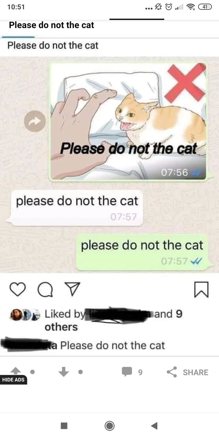 Please do not the cat - 9GAG.