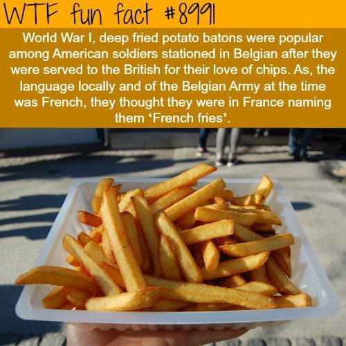 french-fries-actually-originated-in-belgium-9gag