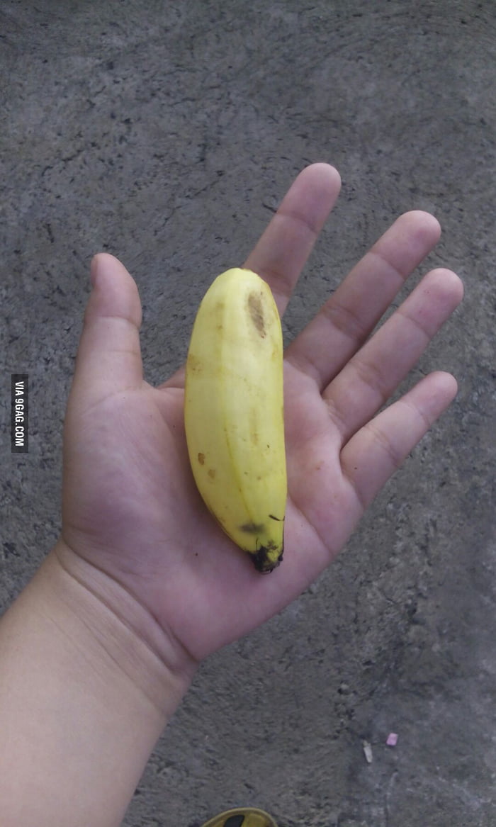 Tiny hammer, with tiny banana for scale - 9GAG