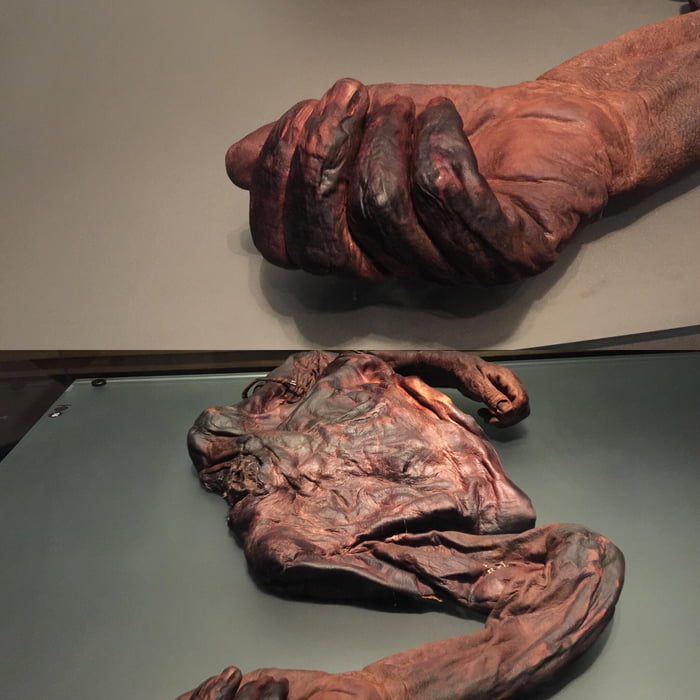 WARNING: GORE. The Old Croghan Man was found in a bog in Ireland. Over 2000 years old, the bog preserved his skin and nails. - 9GAG