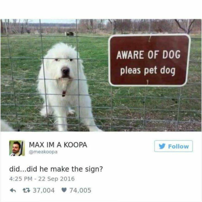 Мемы 2016 собачка. Pet the Dog meme. Выражение Dog of the. Aware of the Dog. Pet please