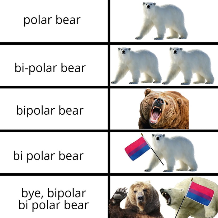 If it s black fight back if it s brown lay down if it s bi 9gag