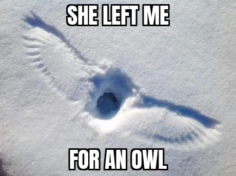 I have no idea why!!! - 9GAG