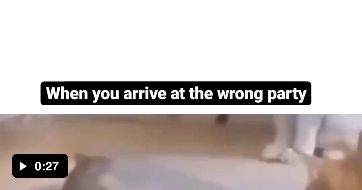 I leave captions to you homies..... 9GAG