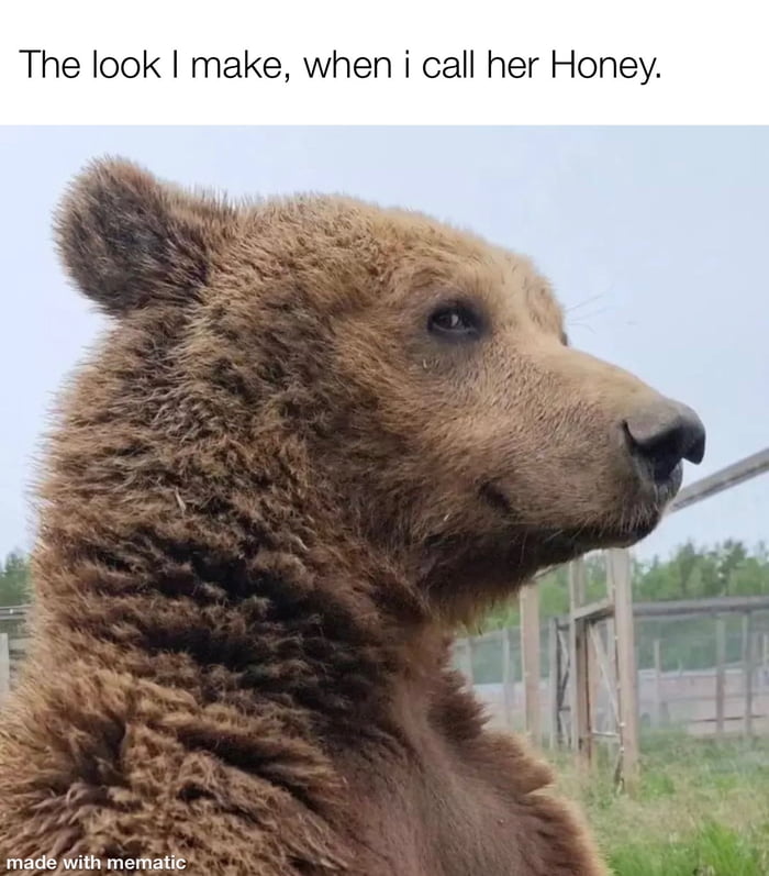 Hey Honey 9gag