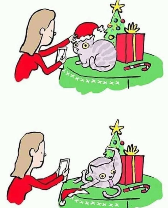 Cat owners know 9gag