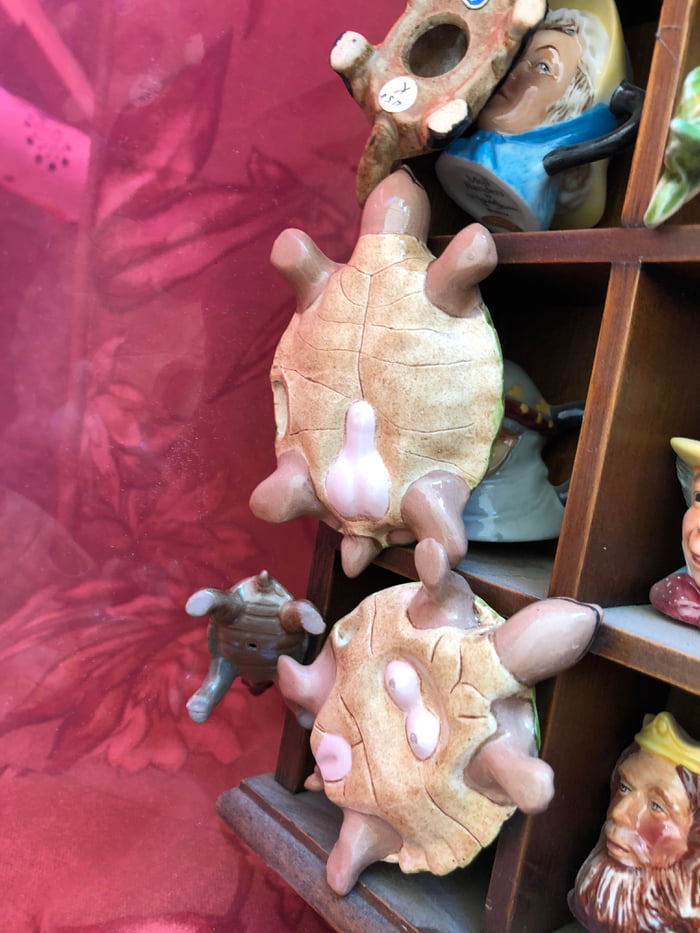 These turtles - 9GAG