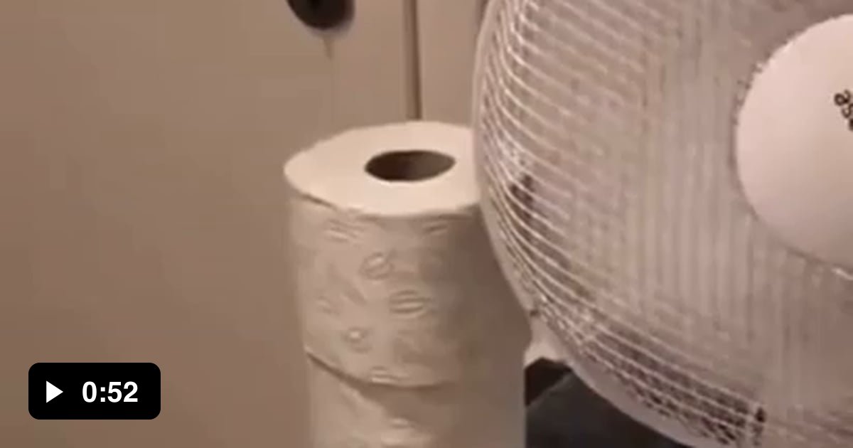 Toilet paper vs fan 9GAG