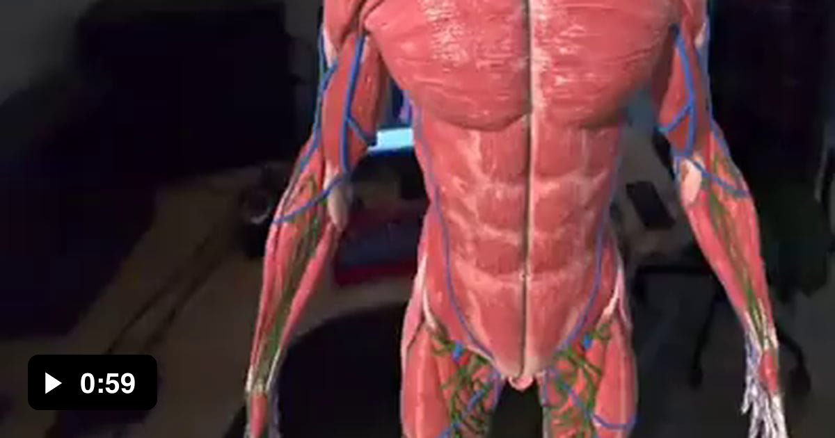 Understanding human anatomy using Augmented Reality - 9GAG