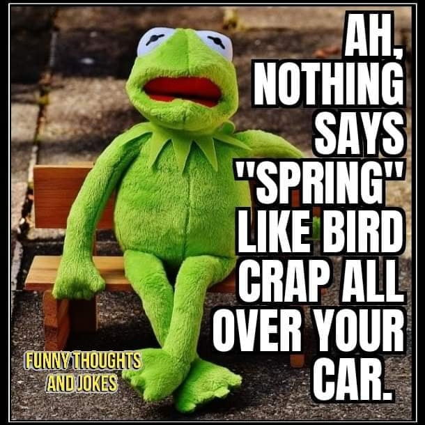 Spring humor - 9GAG