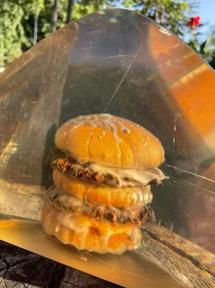 McDonald S Burger Preserved In Resin Since The Late 1970 S 9GAG